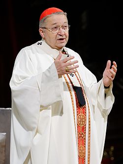 Cardinal André Vingt-Trois